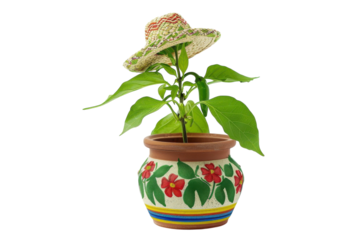 A charmingly decorated plant pot wearing a colorful straw hat indoors during bright daylight isolated on transparent background