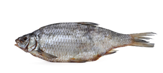 One dried salted roach fish isolated on white