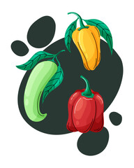 Cartoon vector illustration of vibrant bell peppers with green tops on a dark abstract background. Bright, playful, and perfect for food or farm-themed designs.