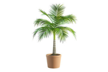 Obraz premium Lush palm plant thriving in a terracotta pot against a minimalist backdrop of soft light isolated on transparent background