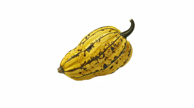 a yellow banana shaped like a pumpkin on a transparent background, PNG image, PNG file, Generative art.