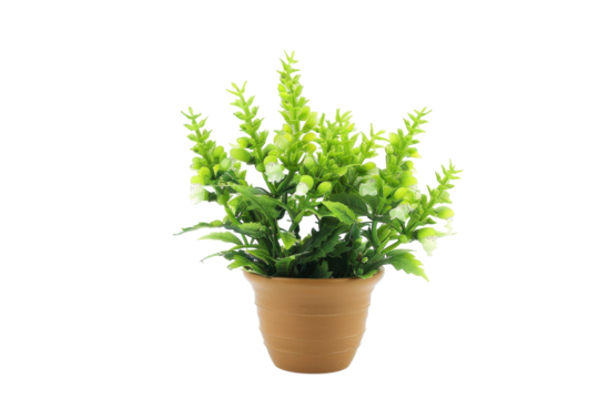 Lush green artificial plant in a rustic terracotta pot on a bright white background isolated on transparent background