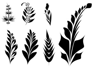 Set of black silhouettes of plant leaves