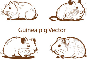 Guinea pig in doodle simple style on white background outline vector