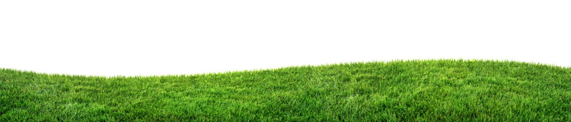 green grass field isolated on white background