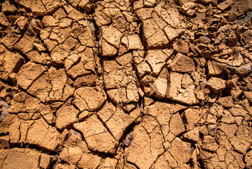 2024 03 16 Jebel Saghro Handour Valley dry 157