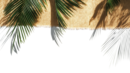 Palm tree leaf shadow over straw beach mat, isolated texture PNG with white background