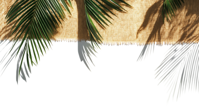 Palm tree leaf shadow over straw beach mat, isolated texture PNG with white background