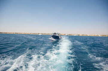 Red Sea | Egypt | Underwater | Scuba Diving