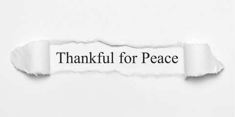 Obraz premium Thankful for Peace 
