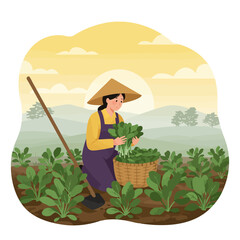 Farmer Harvesting Green Vegetables in Field at Sunrise