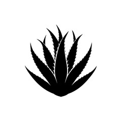cannabis leaf vector illustration