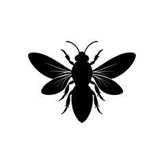vector illustration of a bug
