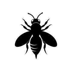 vector illustration of a bee