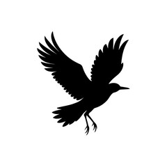 vector illustration of a flying bird