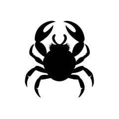 crab isolated on white background