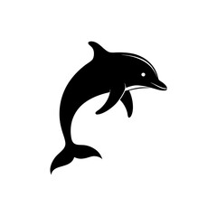 dolphin isolated on white background