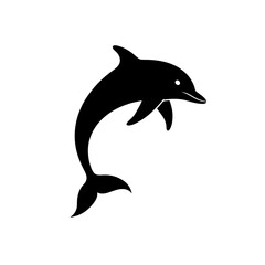 dolphin isolated on white background