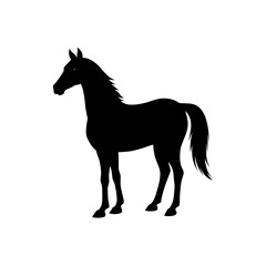 horse silhouette isolated on white