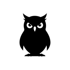 owl on white background