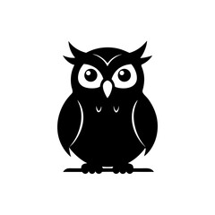 owl on white background