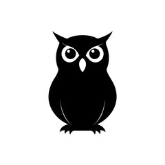 owl on white background