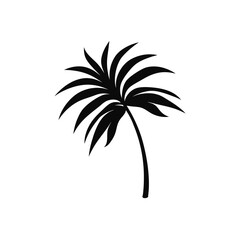 palm trees silhouette