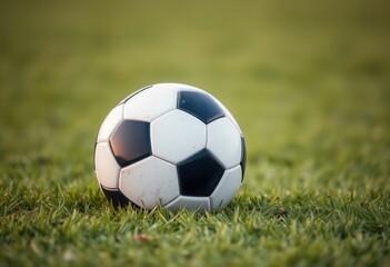 Fototapeta premium Soccer ball resting on a lush green grass field a perfect image for sports themes and backgrounds