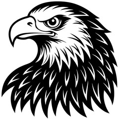 Obraz premium Bald Eagle Vector Illustration – Majestic Bird of Prey Clipart for Digital and Print Use