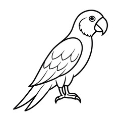 Black and White Illustration of a Parrot with Cartoon Features