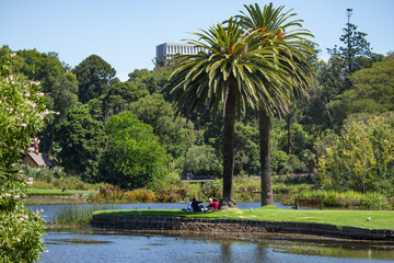 river in the park, billabong