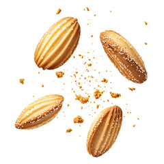 Fototapeta premium flying madeleine cookies with crumbs isolated on transparent white background, clipping path