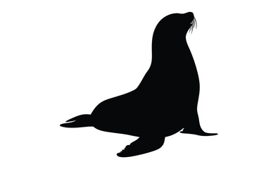 Sea lion silhouette, Marine animal vector, Ocean wildlife icon, Sea lion illustration