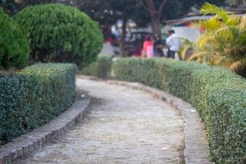 An empty, green road blurred background for man and products