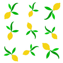 illustration flat design seamless pattern lemon fruit