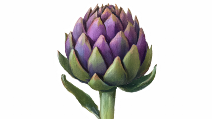 a purple artichoke on a transparent background, PNG image, PNG file, Generative art.