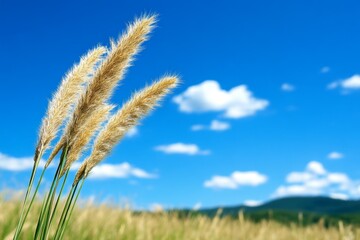 Obraz premium A wild grass field releasing tiny seeds into the wind, capturing the beauty of natureâ€™s cycle