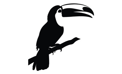 Toucan silhouette, Tropical bird icon, Toucan on white background