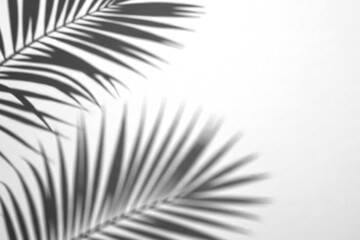 Tropical Palm Leaf Shadows on Transparent Background Creating Exotic Interior Decor Impression