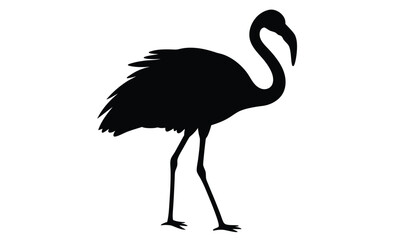 Flamingo silhouette, Flat bird vector, Tropical bird icon, Flamingo on white background