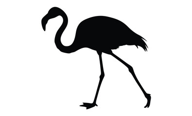 Obraz premium Flamingo silhouette, Flat bird vector, Tropical bird icon, Flamingo on white background