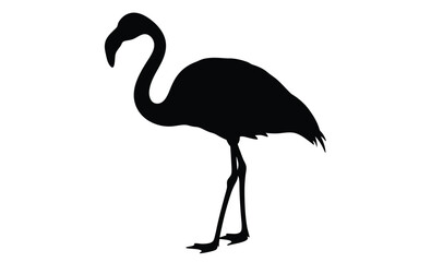 Flamingo silhouette, Flat bird vector, Tropical bird icon, Flamingo on white background