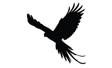 Eagle in flight silhouette, Bird vector icon, Soaring eagle graphic, Flying bird illustration