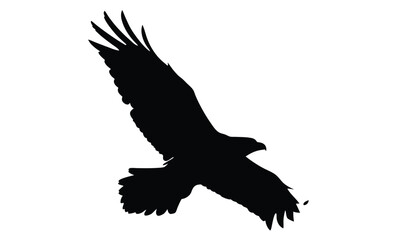 Eagle in flight silhouette, Bird vector icon, Soaring eagle graphic, Flying bird illustration