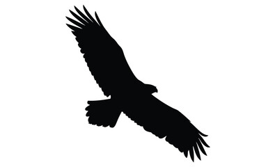 Eagle in flight silhouette, Bird vector icon, Soaring eagle graphic, Flying bird illustration