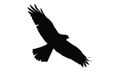 Falcon silhouette, Raptor vector icon, Wild bird illustration