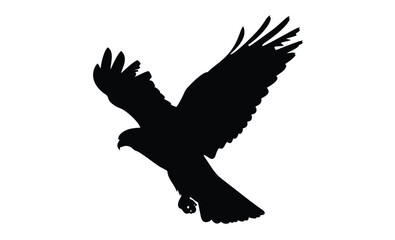 Falcon silhouette, Raptor vector icon, Wild bird illustration