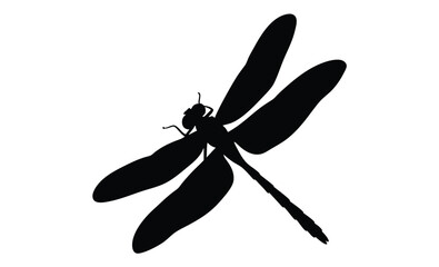 Dragonfly silhouette, Insect icon vector, Damselfly black graphic, Flying bug illustration