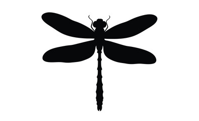 Dragonfly silhouette, Insect icon vector, Damselfly black graphic, Flying bug illustration