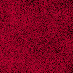 Microscopic texture of fabric warp and weft